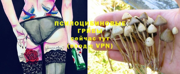 а пвп мука Абдулино