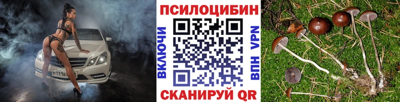 где купить наркотик  Серпухов  Галлюциногенные грибы Magic Shrooms 