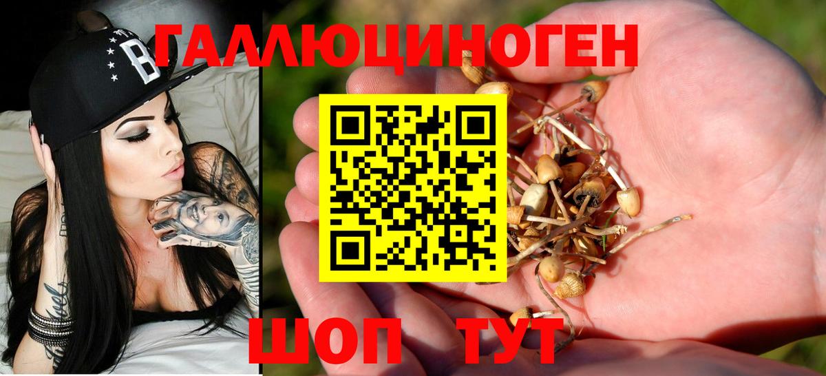 Псилоцибиновые грибы Magic Shrooms Серпухов